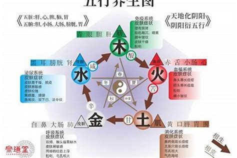 五行屬水缺金